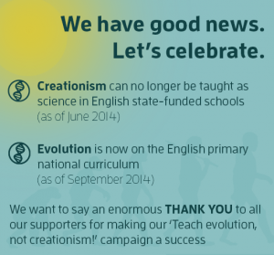 education curriculum success